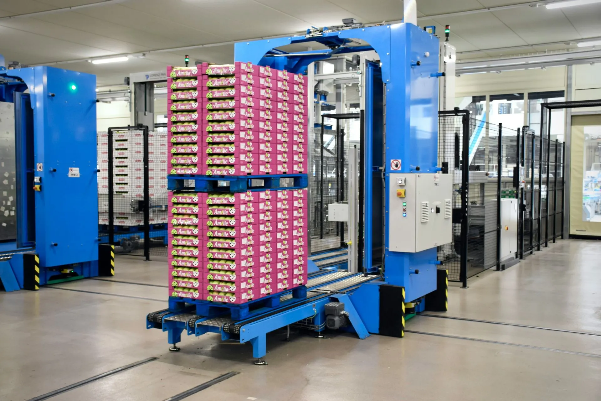 Material Handling: The Rise of Robotics in the Warehouse